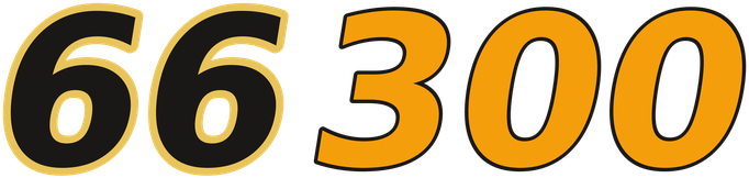 66300 logo